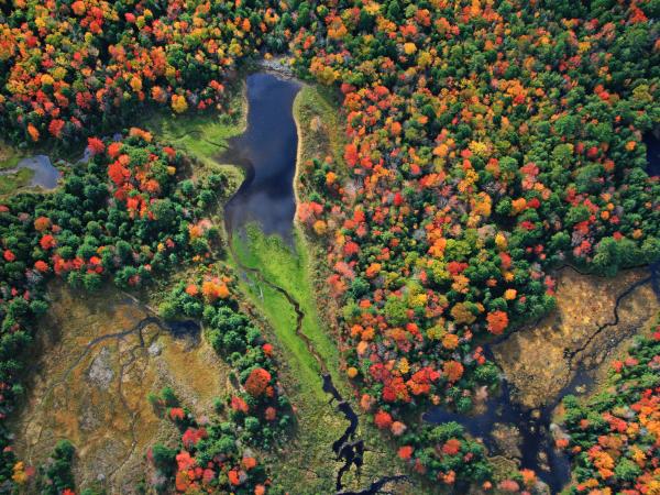 Photo Parc et étangs